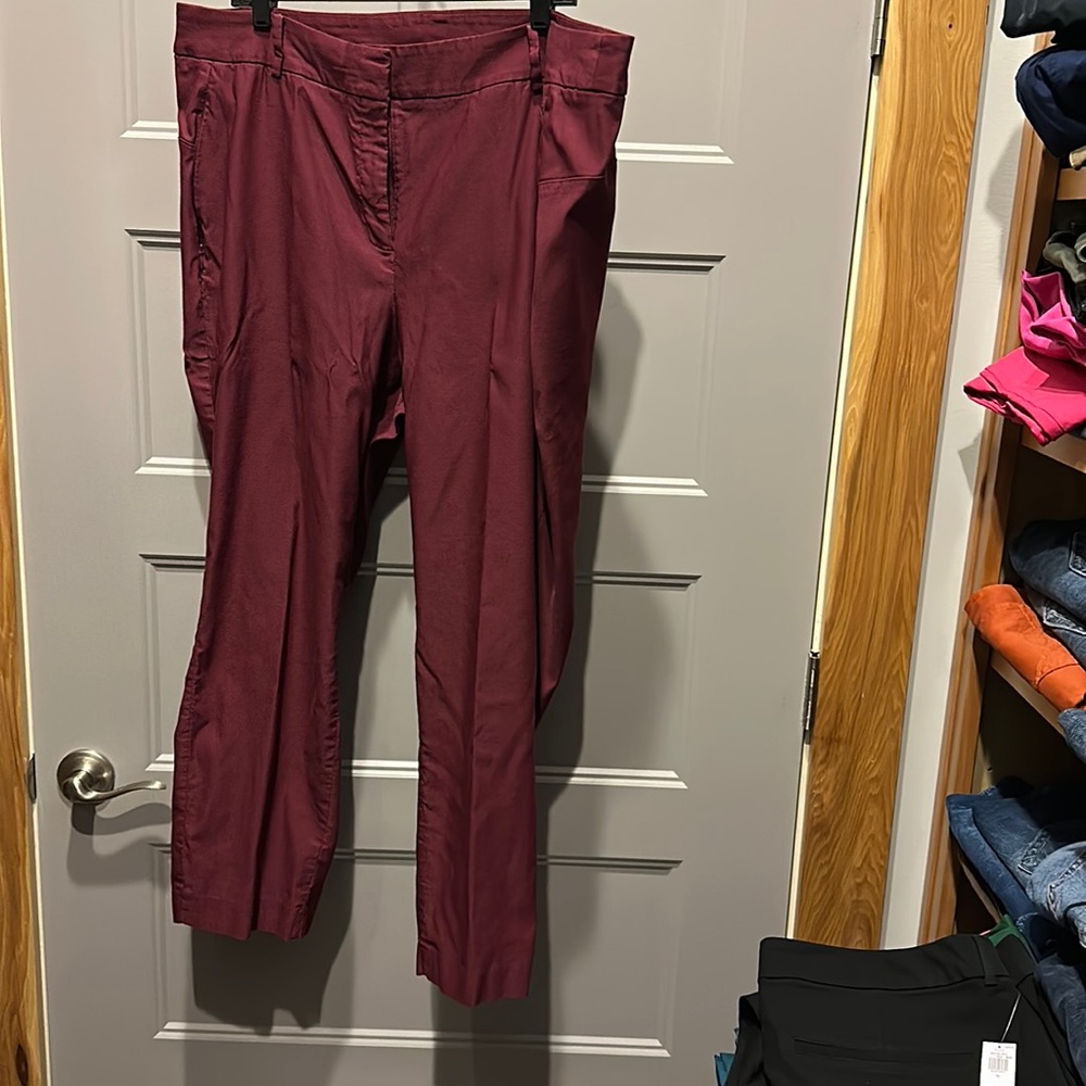 Lane Bryant ankle pants